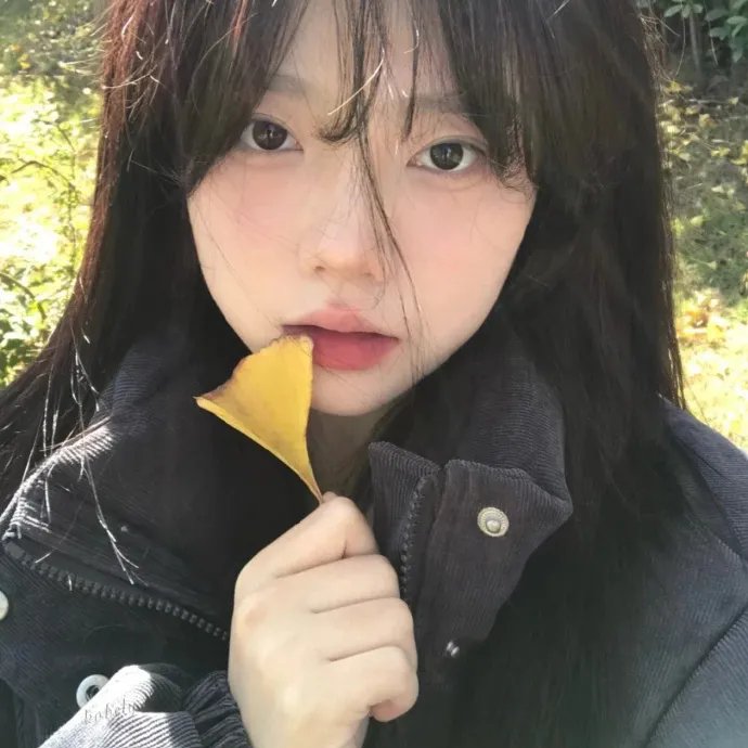 霍兰先生的乐章